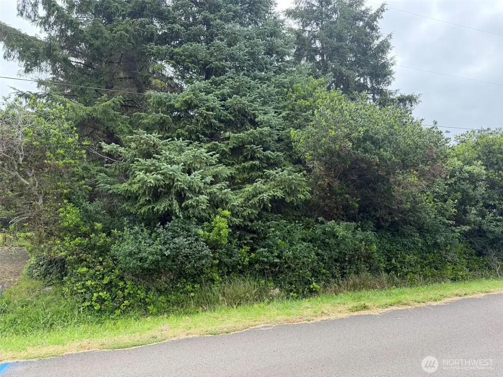 186 Wishkah Street SW Ocean Shores WA 98569