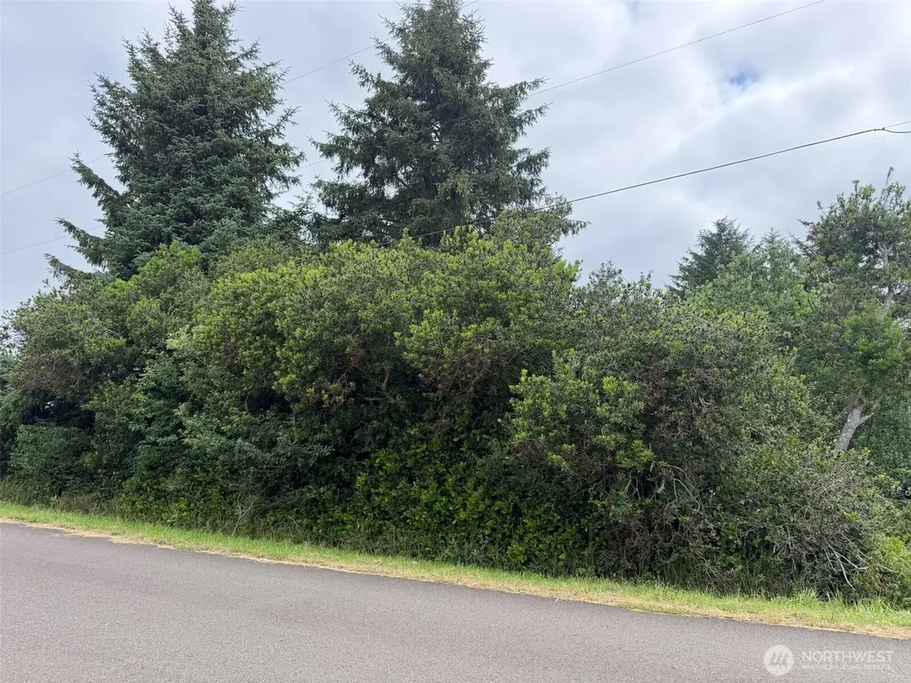 186 Wishkah Street SW Ocean Shores WA 98569