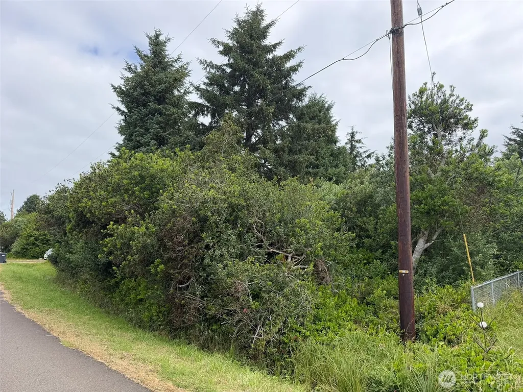 186 Wishkah Street SW Ocean Shores WA 98569