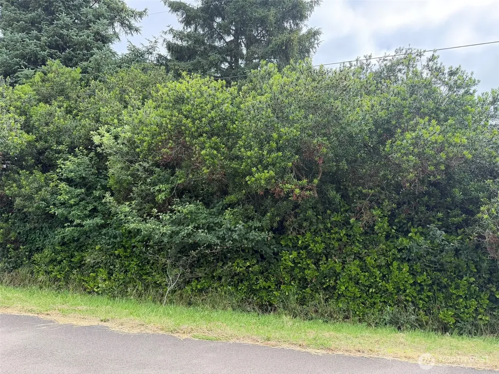 186 Wishkah Street SW Ocean Shores WA 98569
