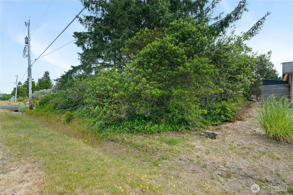 233 S Razor Clam Drive SW Ocean Shores WA 98569
