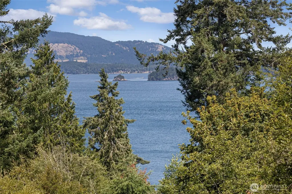 164 Bramblewood Lane Friday Harbor WA 98250