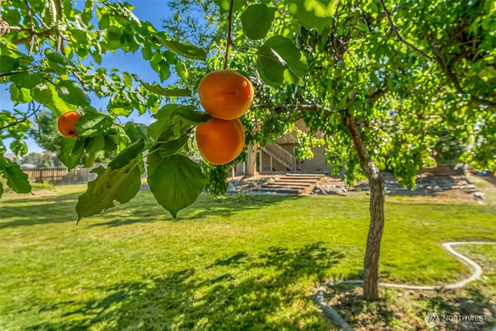 2970 Cascade Ridge East Wenatchee WA 98802