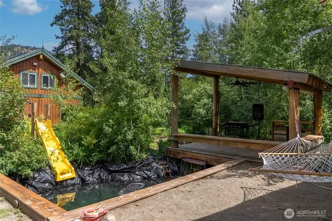 43 Davelaar Drive Mazama WA 98833