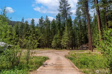 43 Davelaar Drive Mazama WA 98833