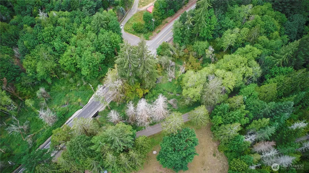 5 W Xxx Cloquallum Road Shelton WA 98584