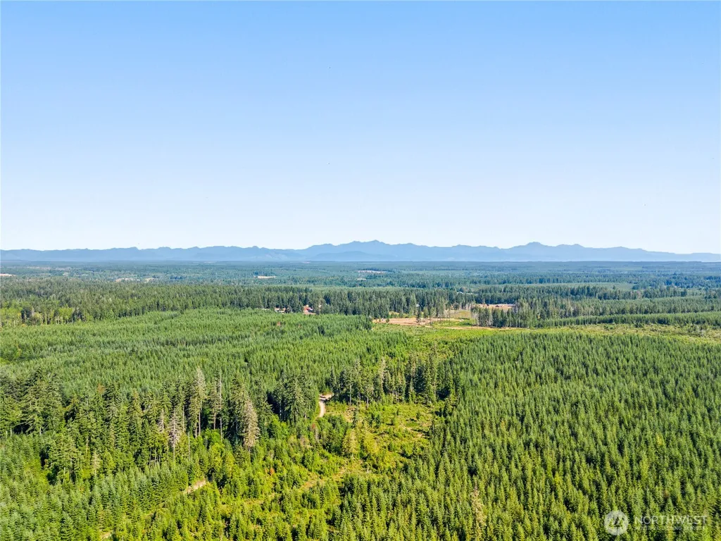121 E Aspen Place Shelton WA 98584