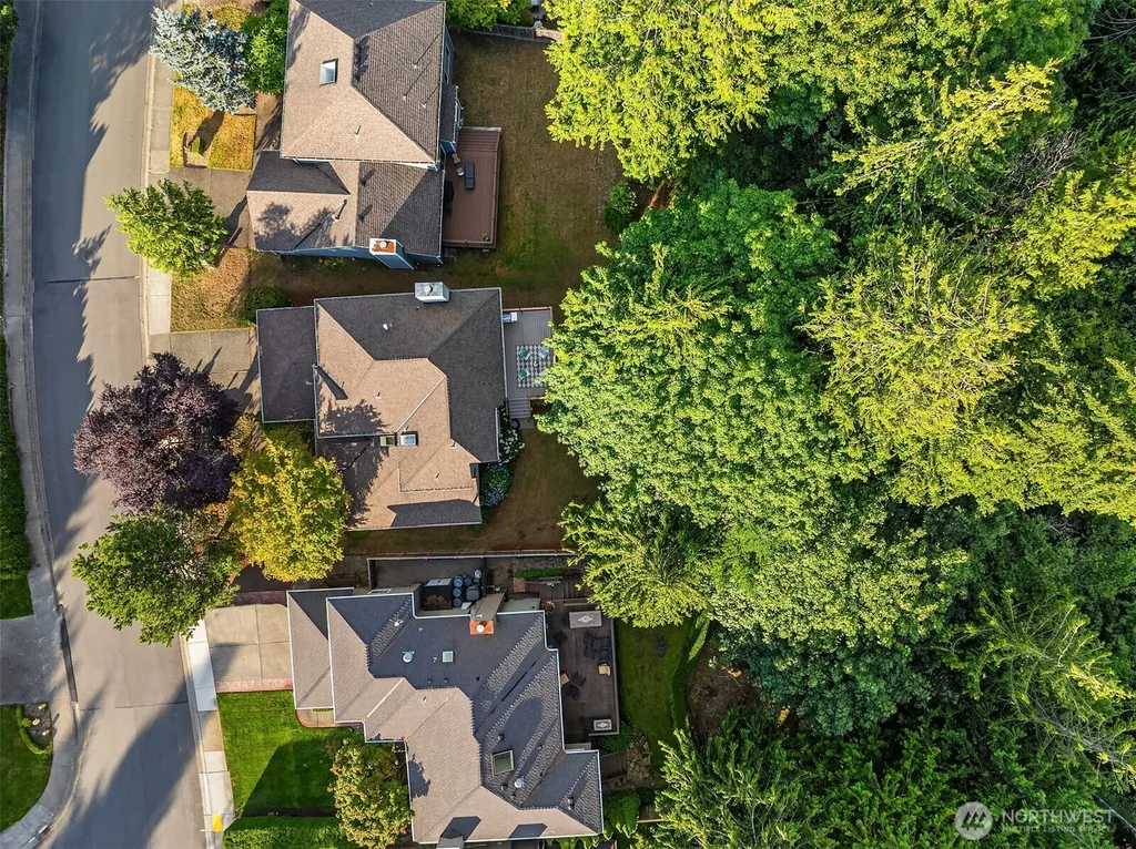 22413 NE 9th Drive Sammamish WA 98074