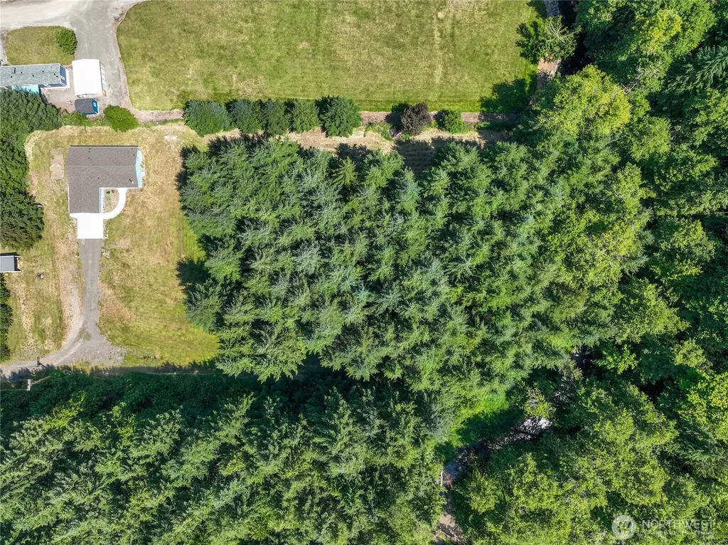8364 Highway 12 Glenoma WA 98336
