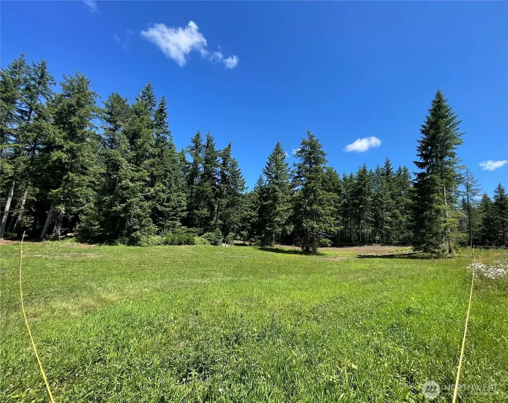 0 Lynch Road Mccleary WA 98557