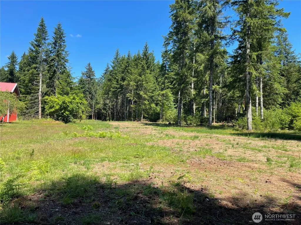 0 Lynch Road Mccleary WA 98557