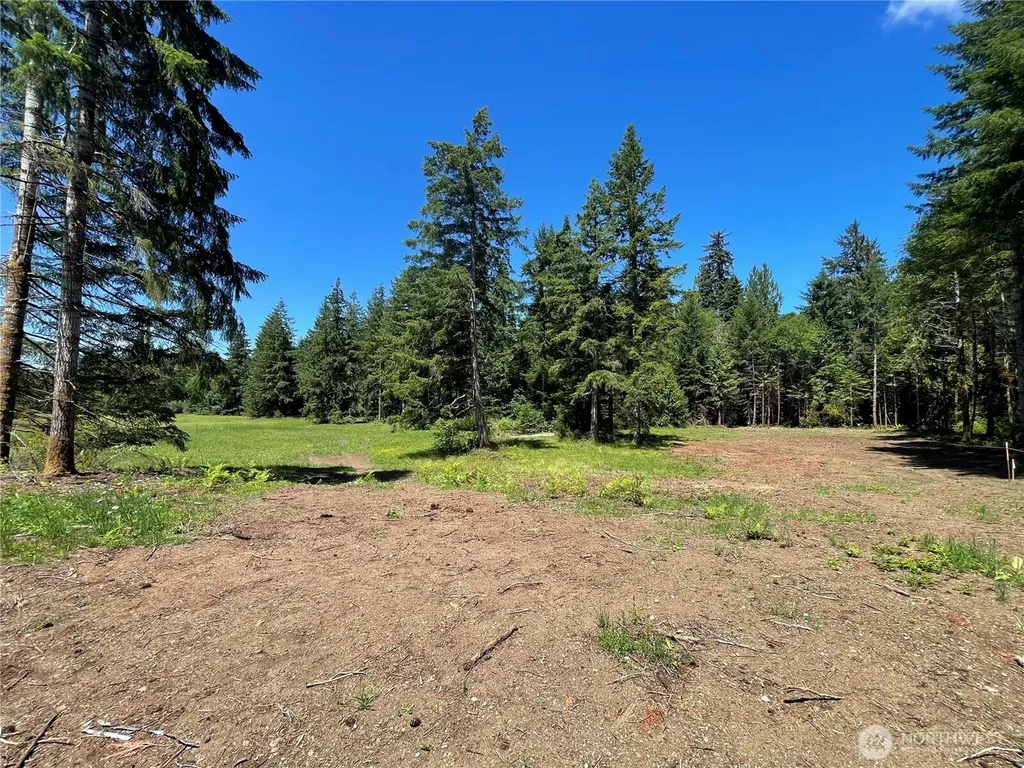 0 Lynch Road Mccleary WA 98557