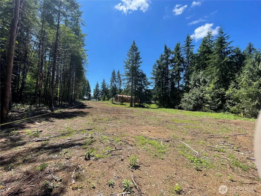 0 Lynch Road Mccleary WA 98557