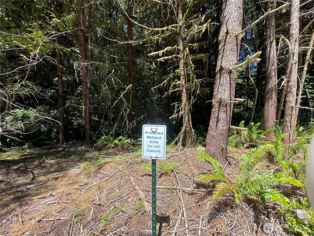 0 Lynch Road Mccleary WA 98557