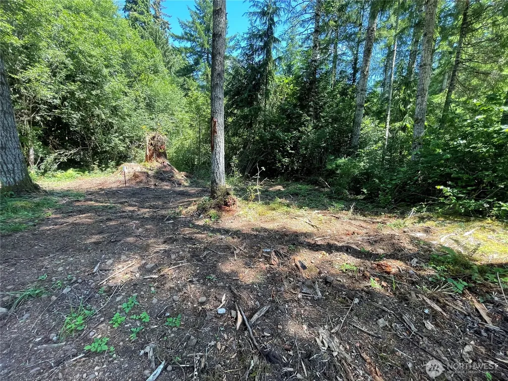 0 Lynch Road Mccleary WA 98557