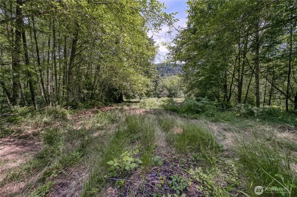 10611 33rd Avenue Ct NW Gig Harbor WA 98332