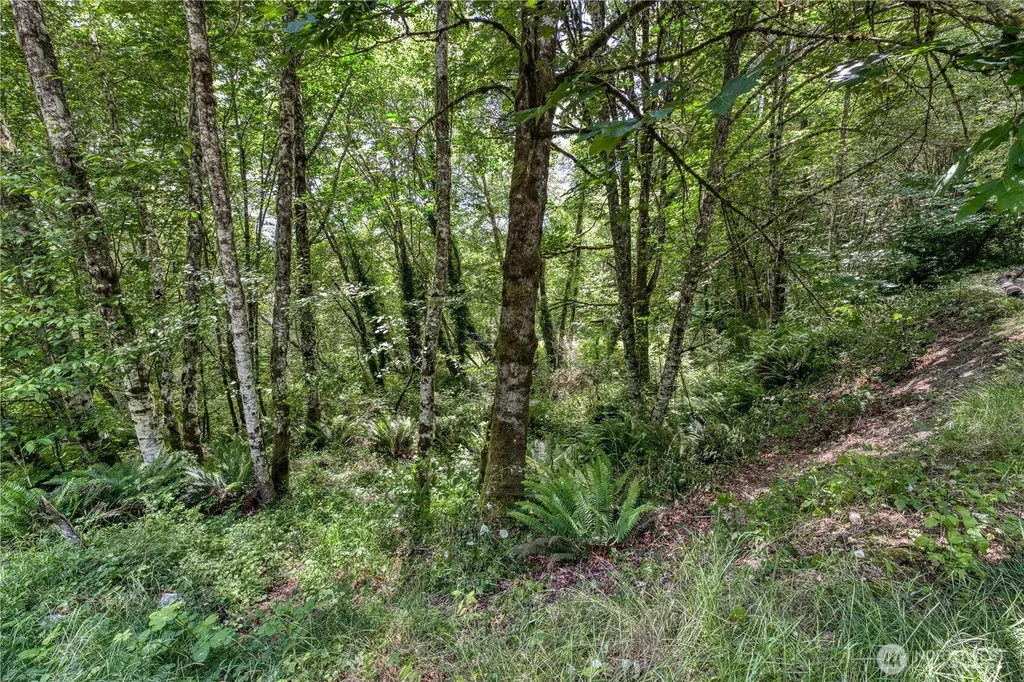 10611 33rd Avenue Ct NW Gig Harbor WA 98332