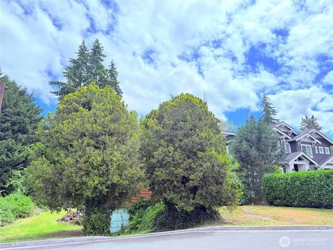 1520 102nd Avenue NE Bellevue WA 98004
