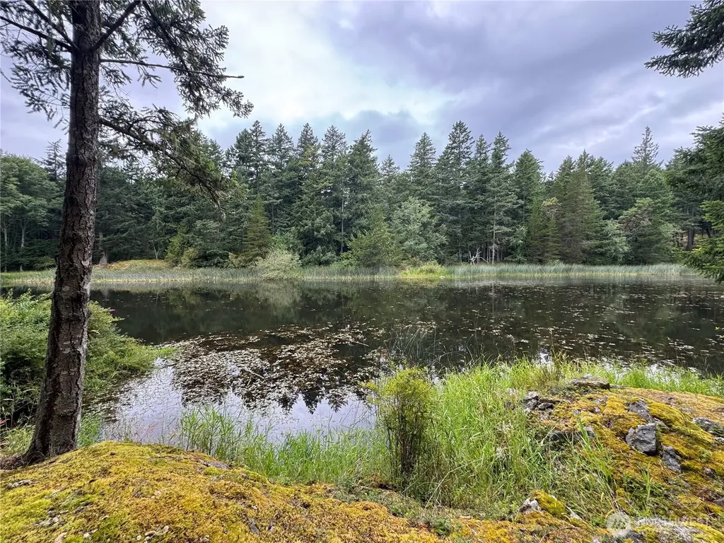230 Serendipity Lane Orcas Island WA 98243
