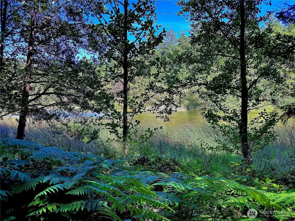 230 Serendipity Lane Orcas Island WA 98243