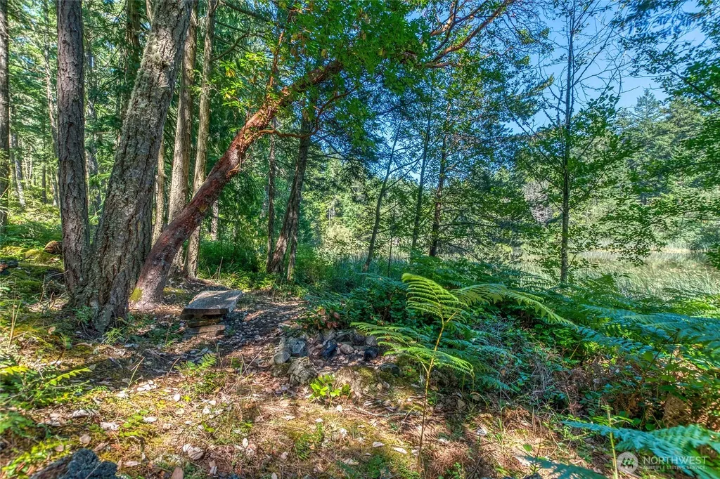 230 Serendipity Lane Orcas Island WA 98243