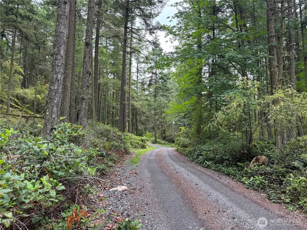 230 Serendipity Lane Orcas Island WA 98243