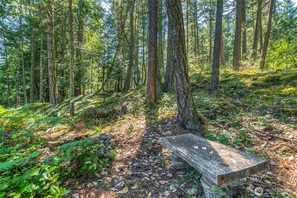 230 Serendipity Lane Orcas Island WA 98243