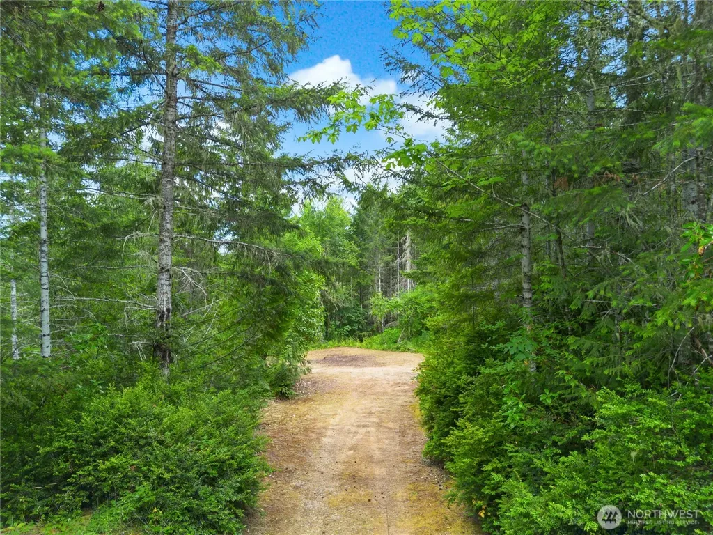 0 Rustic Ridge Drive Lilliwaup WA 98555