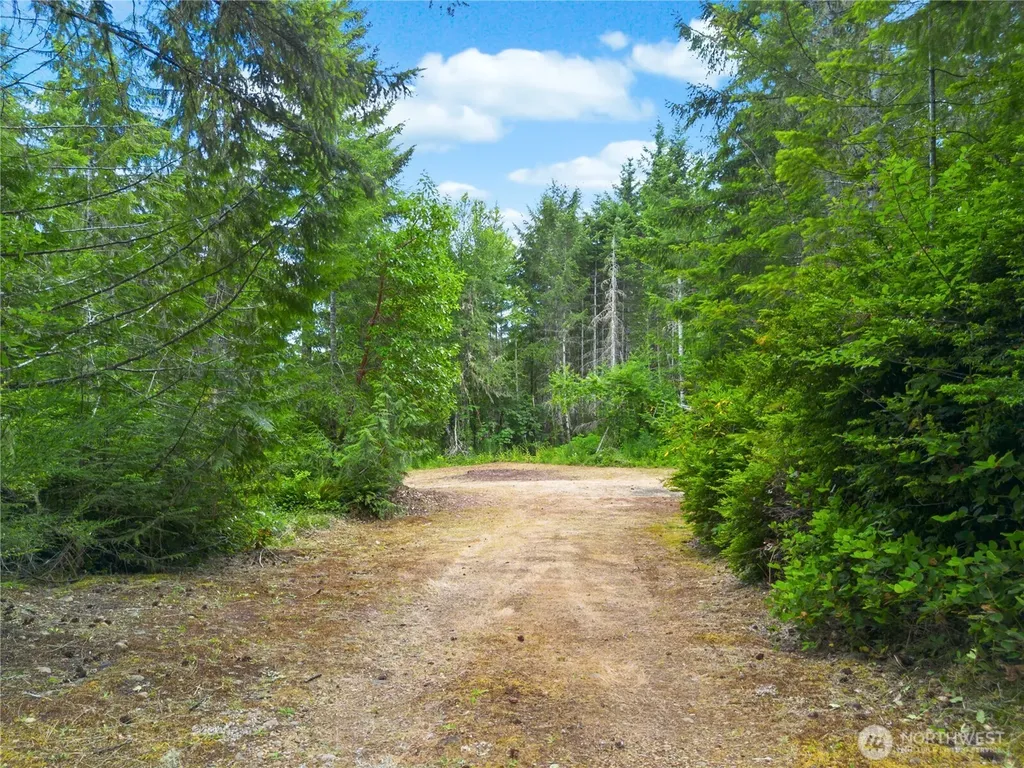 0 Rustic Ridge Drive Lilliwaup WA 98555