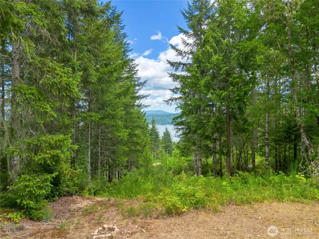 0 Rustic Ridge Drive Lilliwaup WA 98555