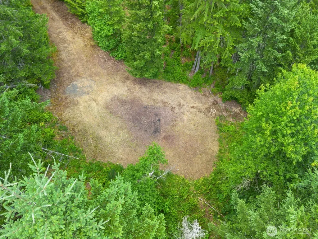 0 Rustic Ridge Drive Lilliwaup WA 98555