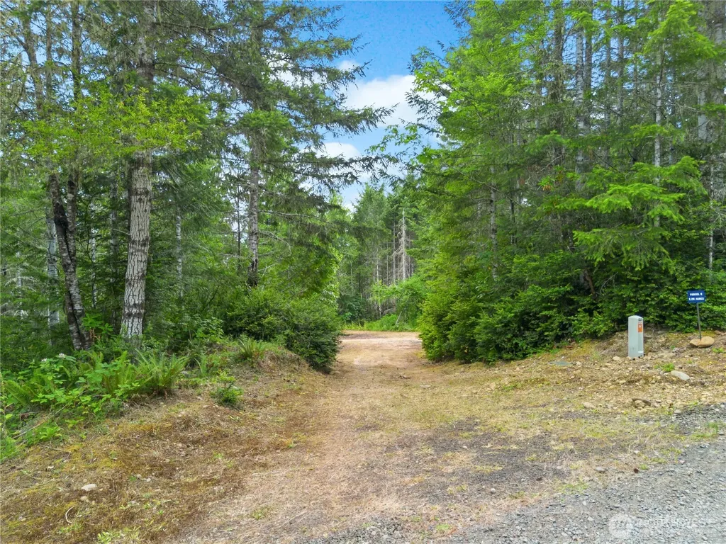 0 Rustic Ridge Drive Lilliwaup WA 98555