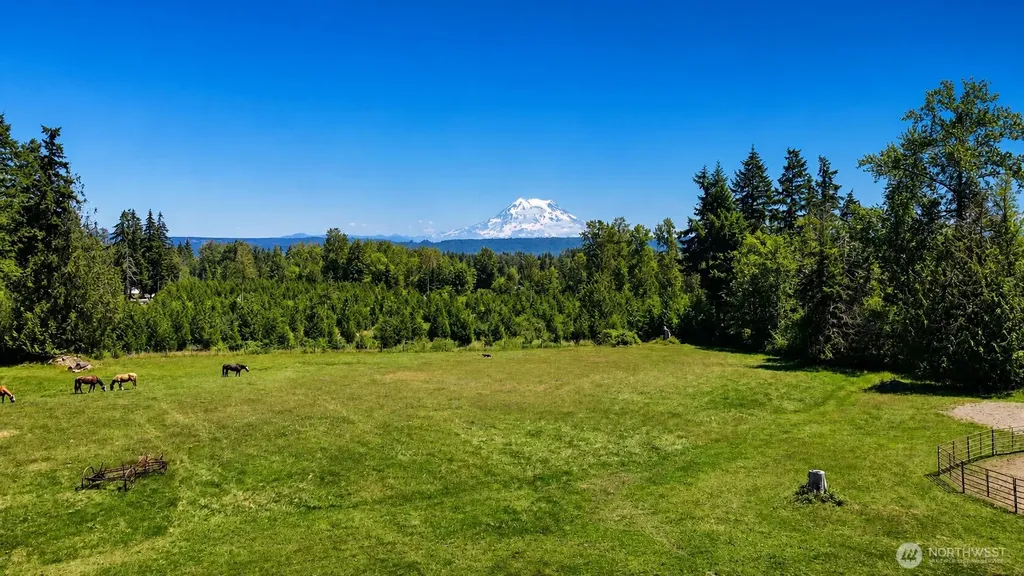28419 132nd Avenue E Graham WA 98338