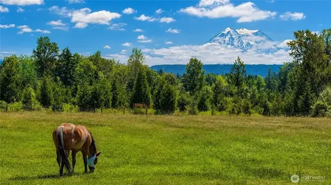 28419 132nd Avenue E Graham WA 98338