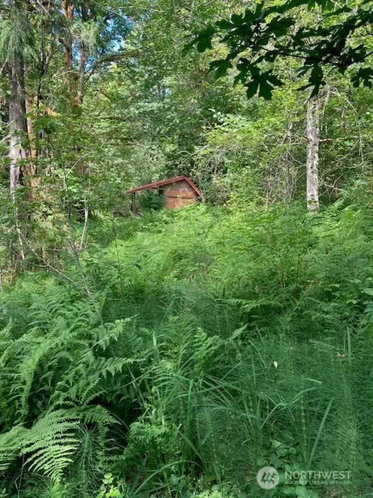 50 N Canvasback Place Hoodsport WA 98548