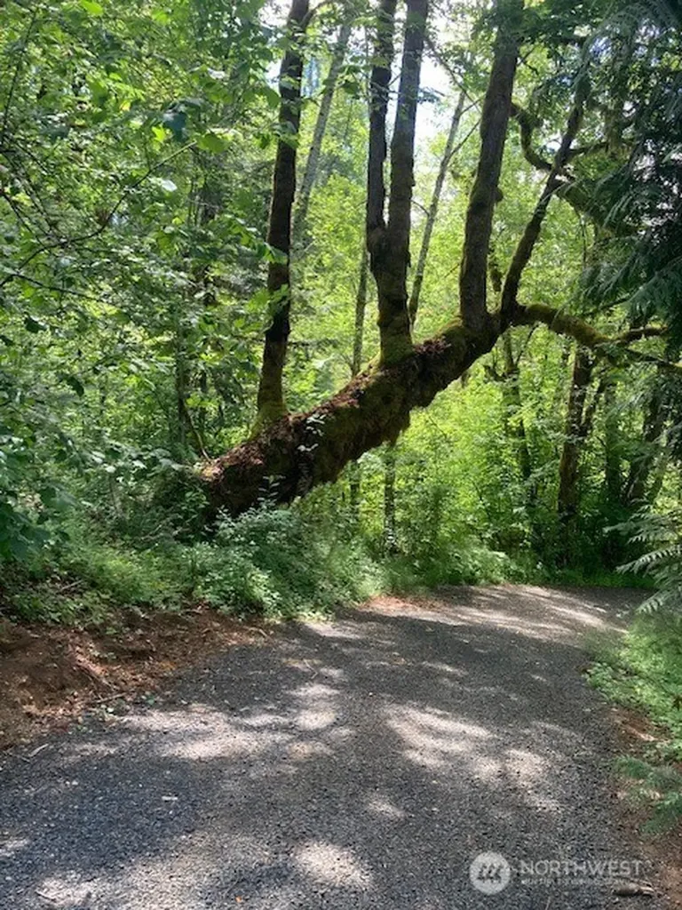 50 N Canvasback Place Hoodsport WA 98548