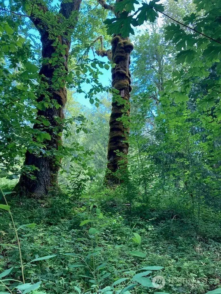 50 N Canvasback Place Hoodsport WA 98548