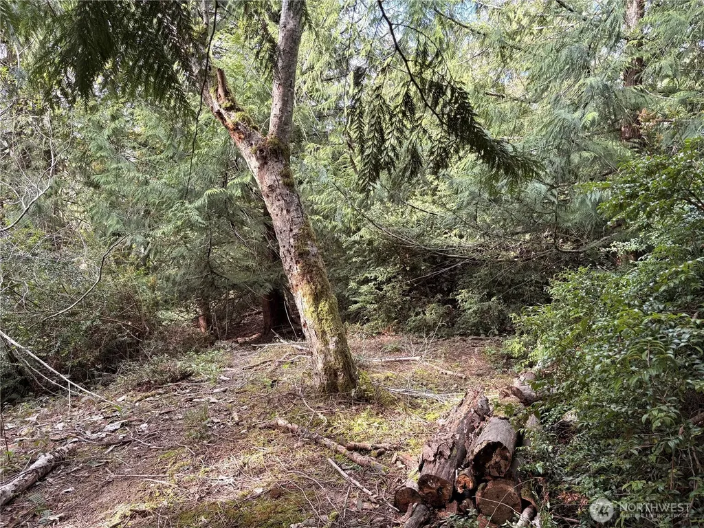 730 E Madrona Boulevard NW Lakebay WA 98349