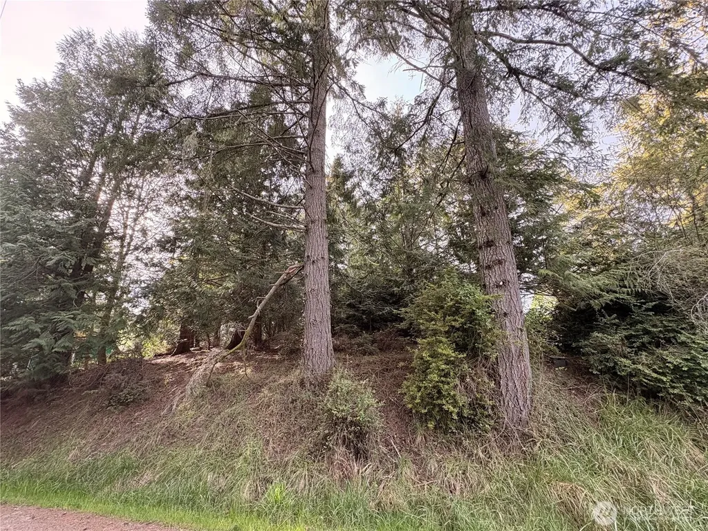 730 E Madrona Boulevard NW Lakebay WA 98349