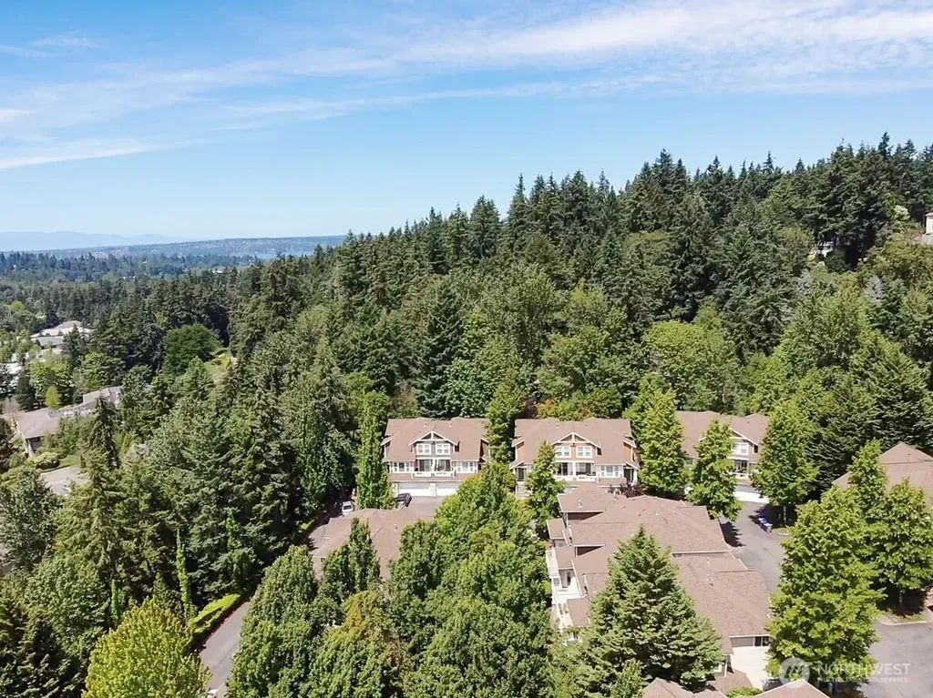 12208 NE 24th Street Bellevue WA 98005