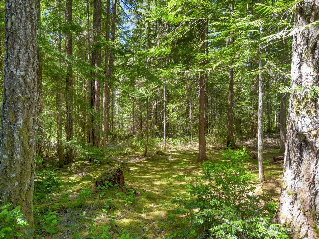 421 N Mt Jupiter Drive Hoodsport WA 98548