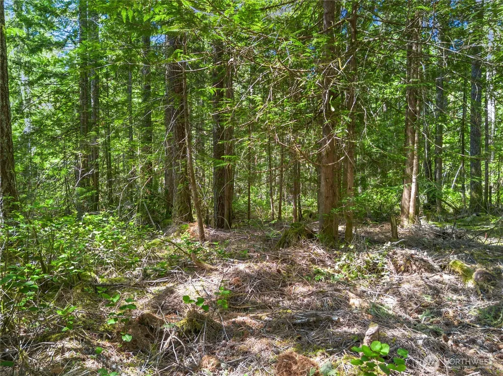 421 N Mt Jupiter Drive Hoodsport WA 98548