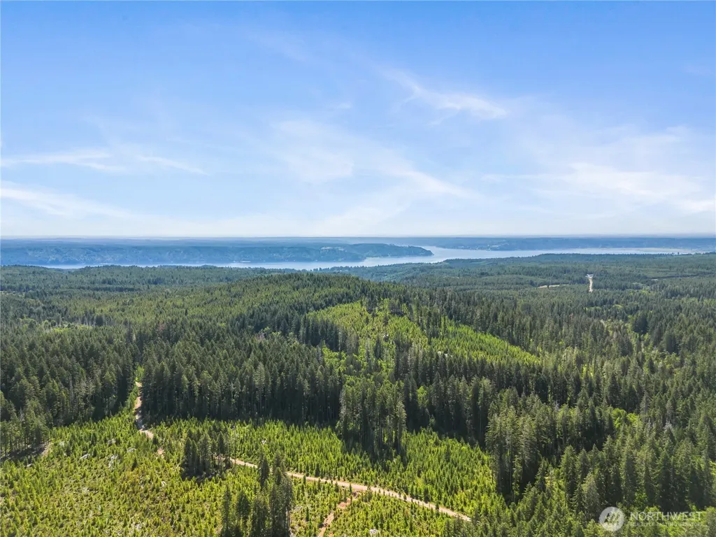 421 N Mt Jupiter Drive Hoodsport WA 98548
