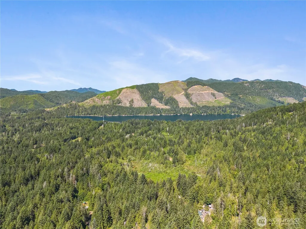 421 N Mt Jupiter Drive Hoodsport WA 98548