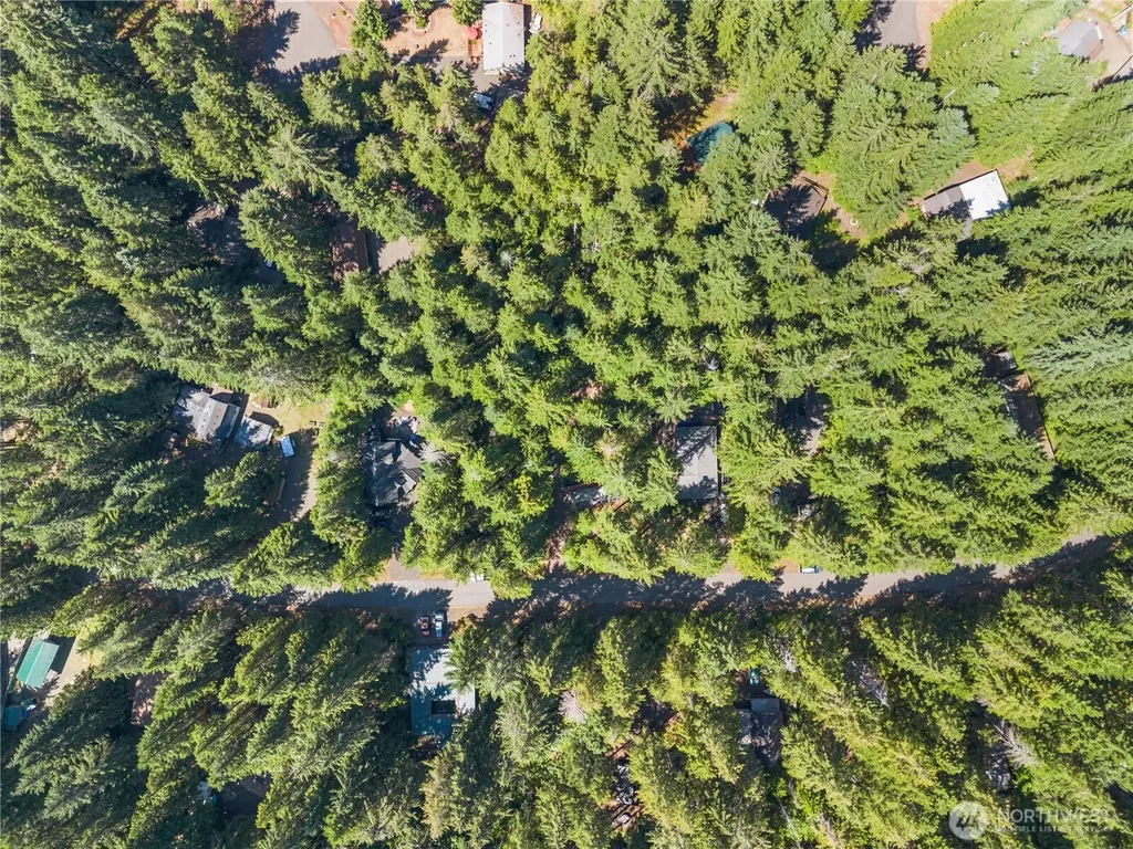 421 N Mt Jupiter Drive Hoodsport WA 98548