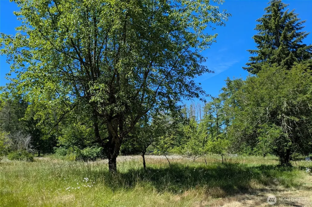 1082 Taylor Cutoff Road Sequim WA 98382