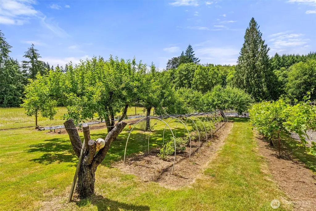 1677 North Fork Road Chehalis WA 98532