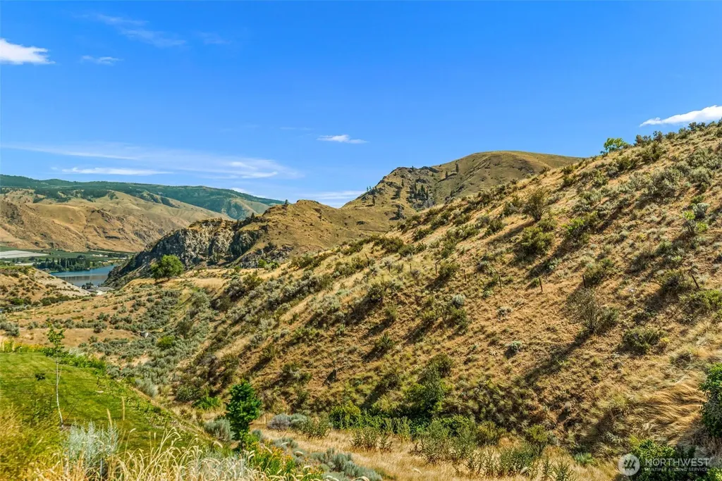 9973 Saska Way Entiat WA 98822