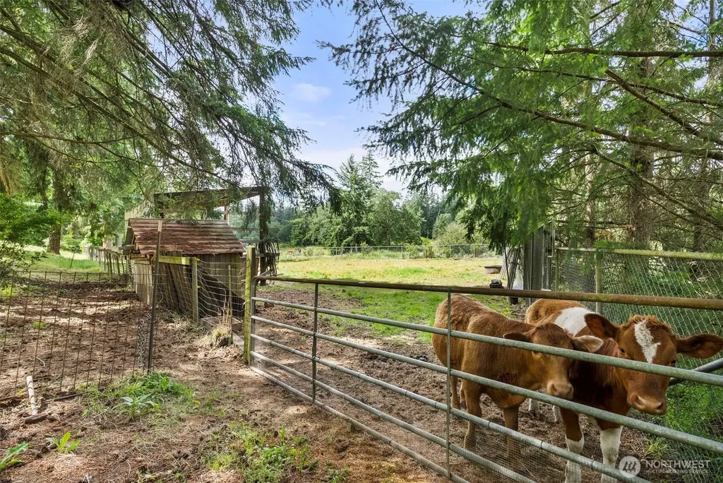 21016 E 26th Avenue Spanaway WA 98387