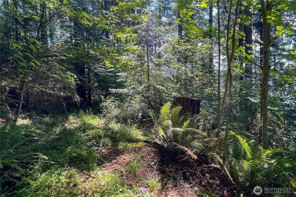 3 NW Sulphur Springs Lot 3 Bremerton WA 98310